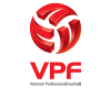 Công ty cổ phần bóng đá Việt Nam VPF