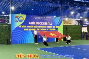 Giải Pickle Ball Sở Văn hoá Thể thao TPHCM